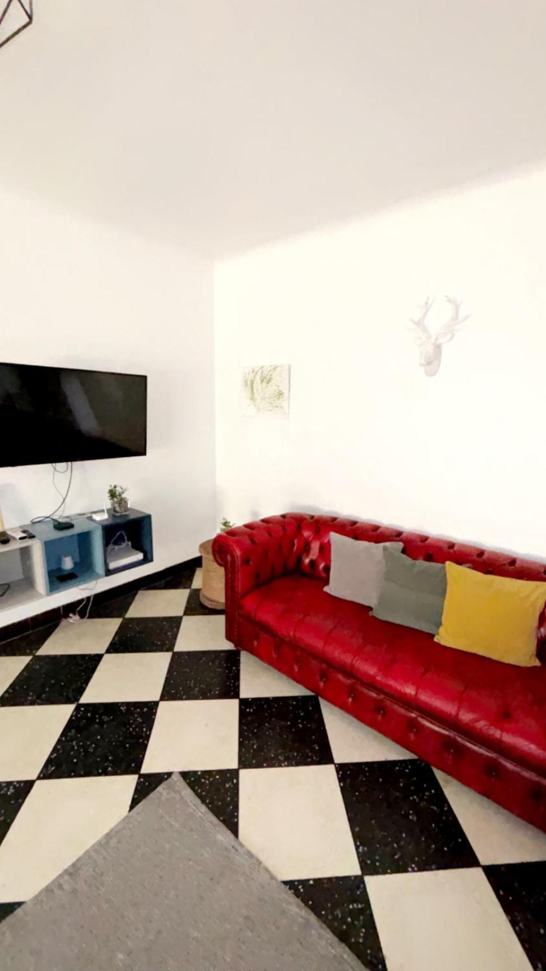 Appartement L'Olivier 阿爾勒 外观 照片