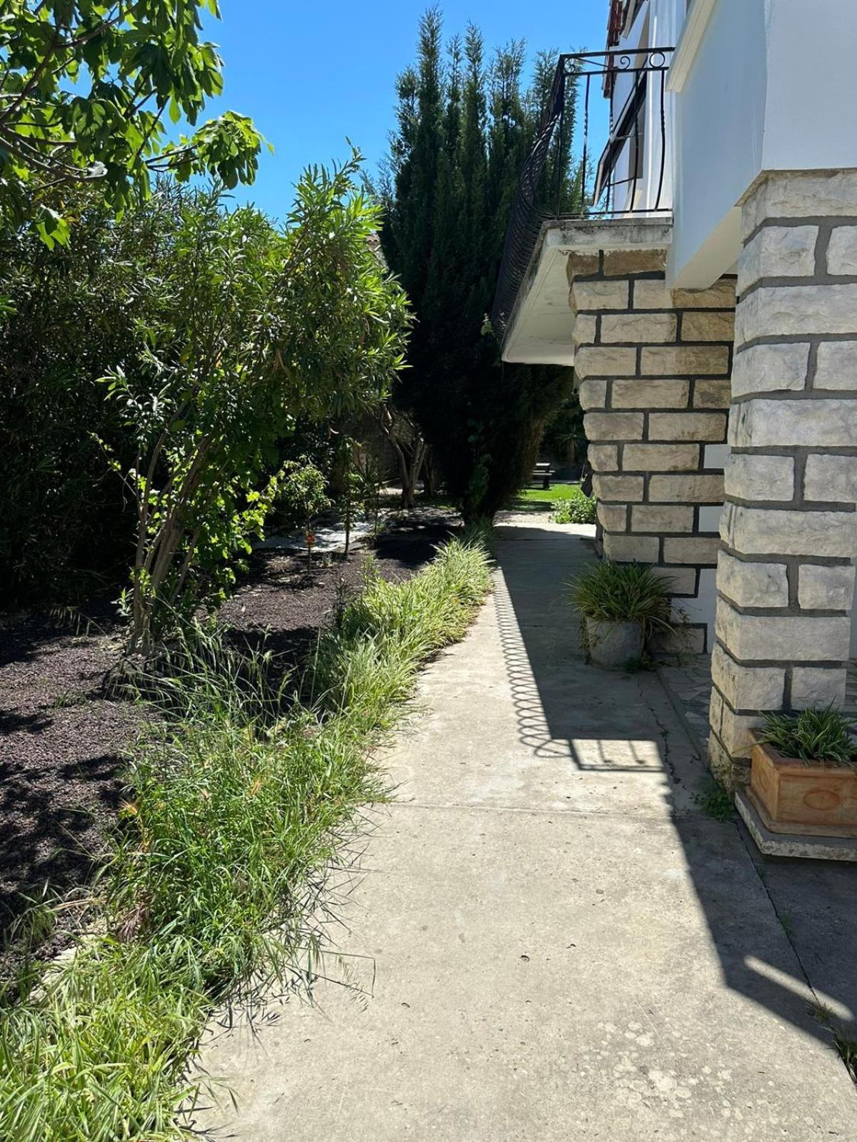 Appartement L'Olivier 阿爾勒 外观 照片